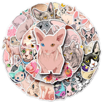 Sphynx Hairless Cat Stickers