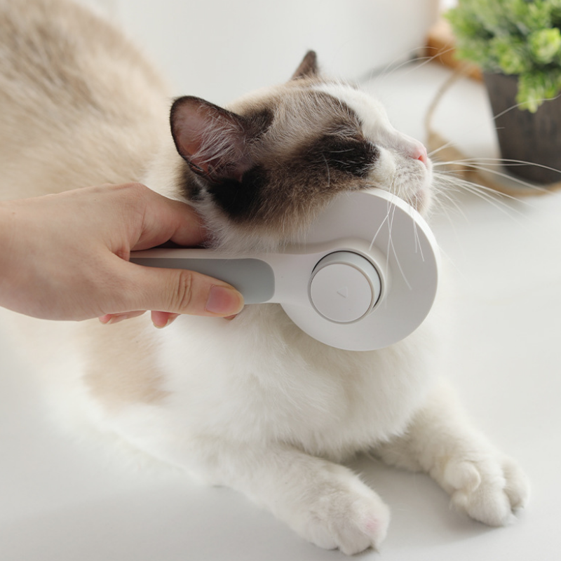 Premium Pet Self Cleaning Slicker Brush