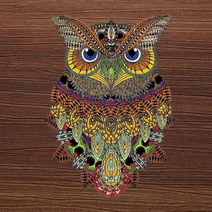 Brown Owl Wooden Jigsaw Puzzle