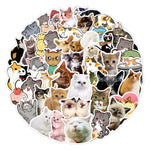 Cat World Cute Stickers