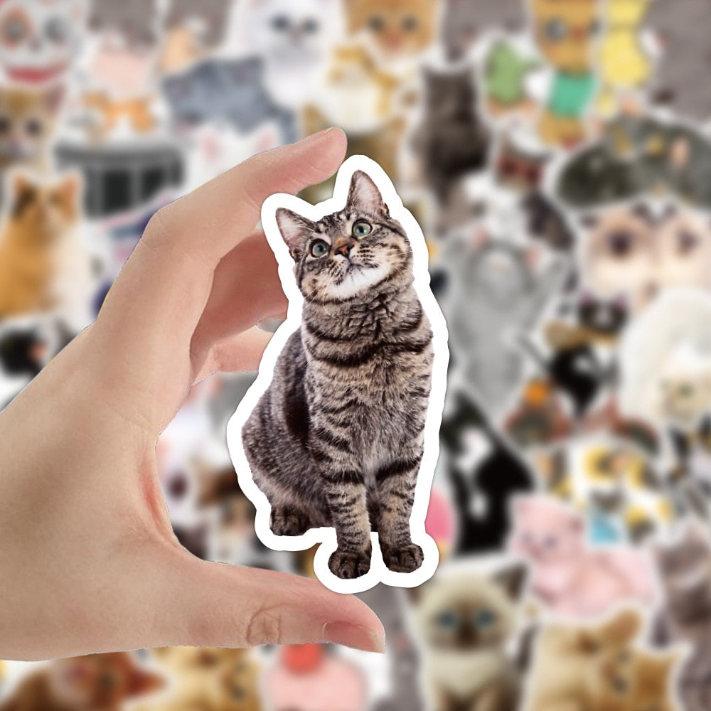 Cat World Cute Stickers