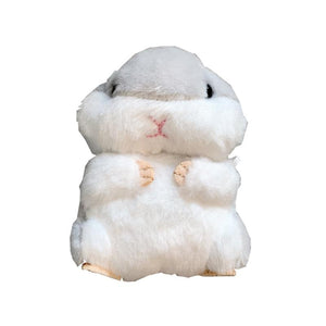 Hamster Fluffy Airpods Case