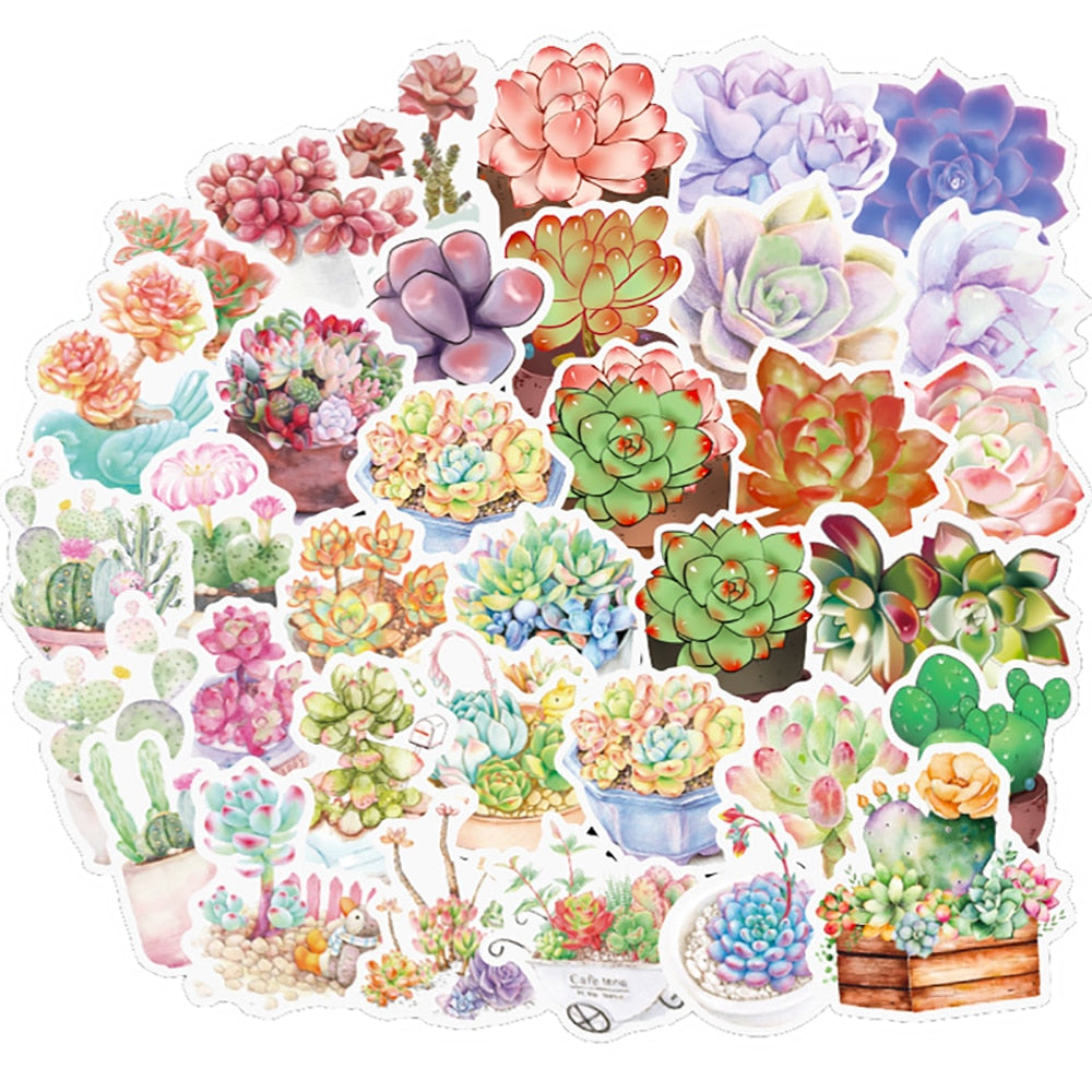 Succulent Plant Stickers