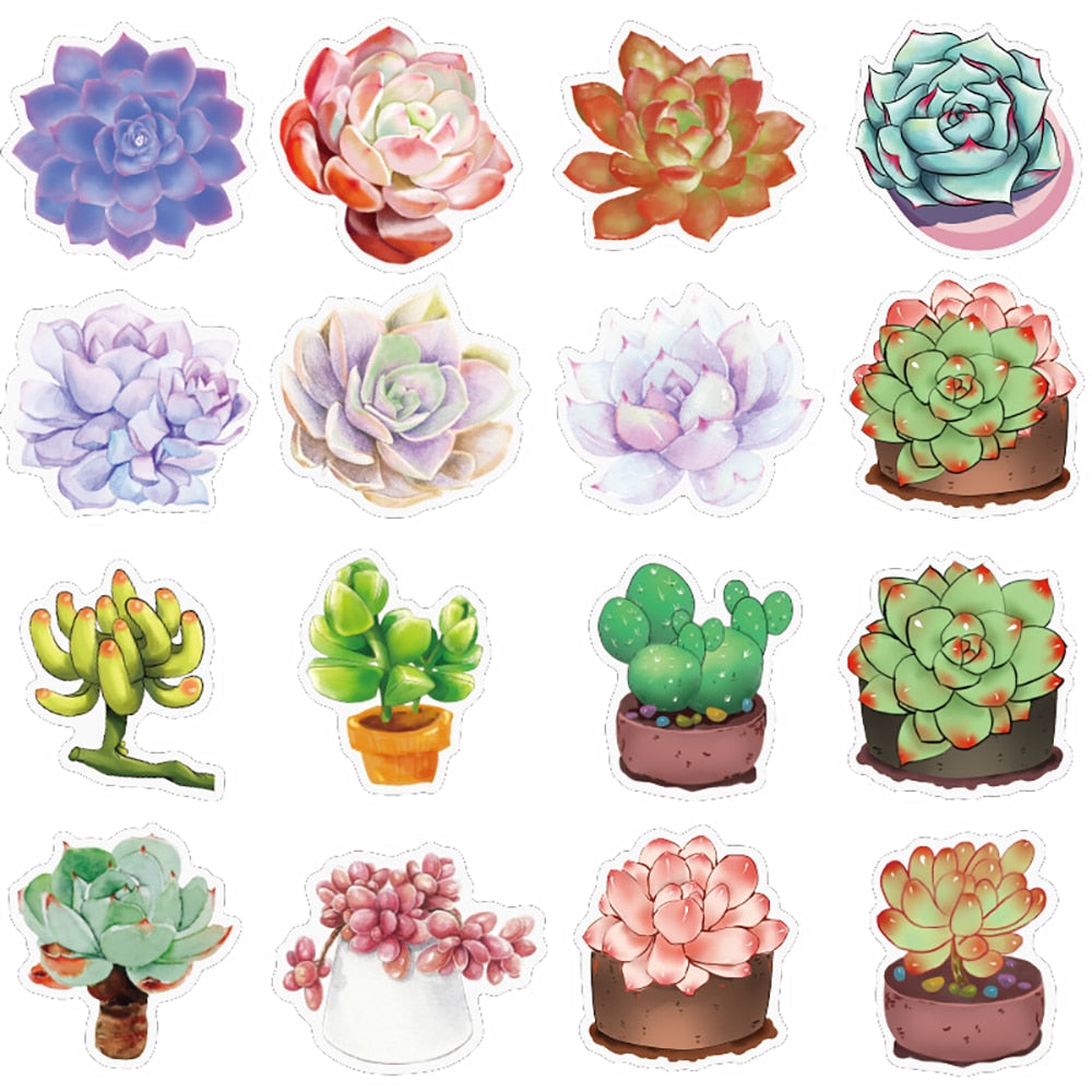 Succulent Plant Stickers