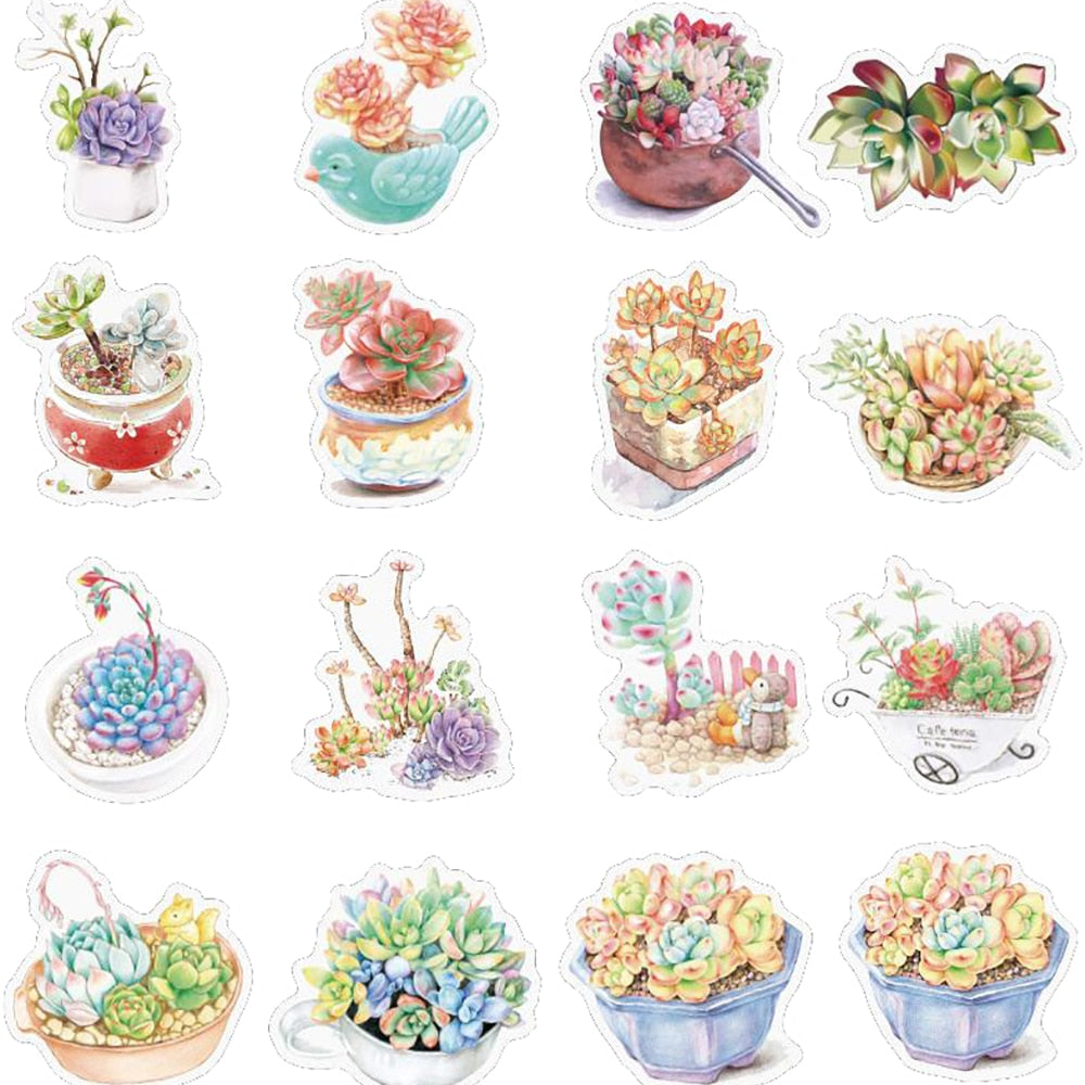 Succulent Plant Stickers