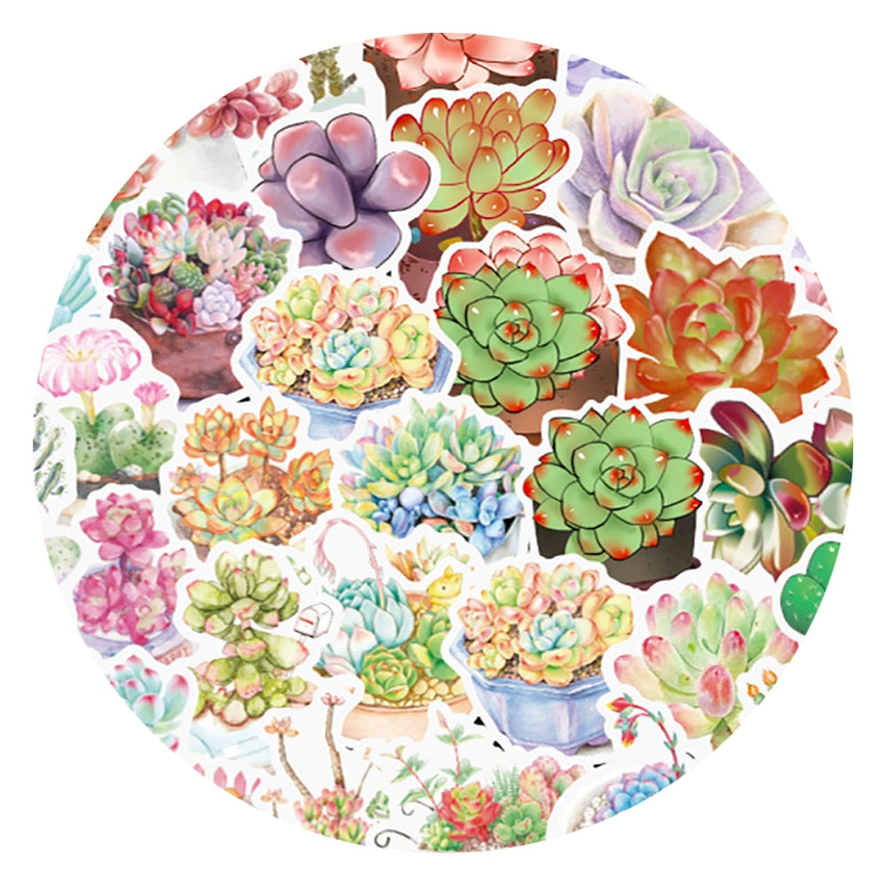 Succulent Plant Stickers