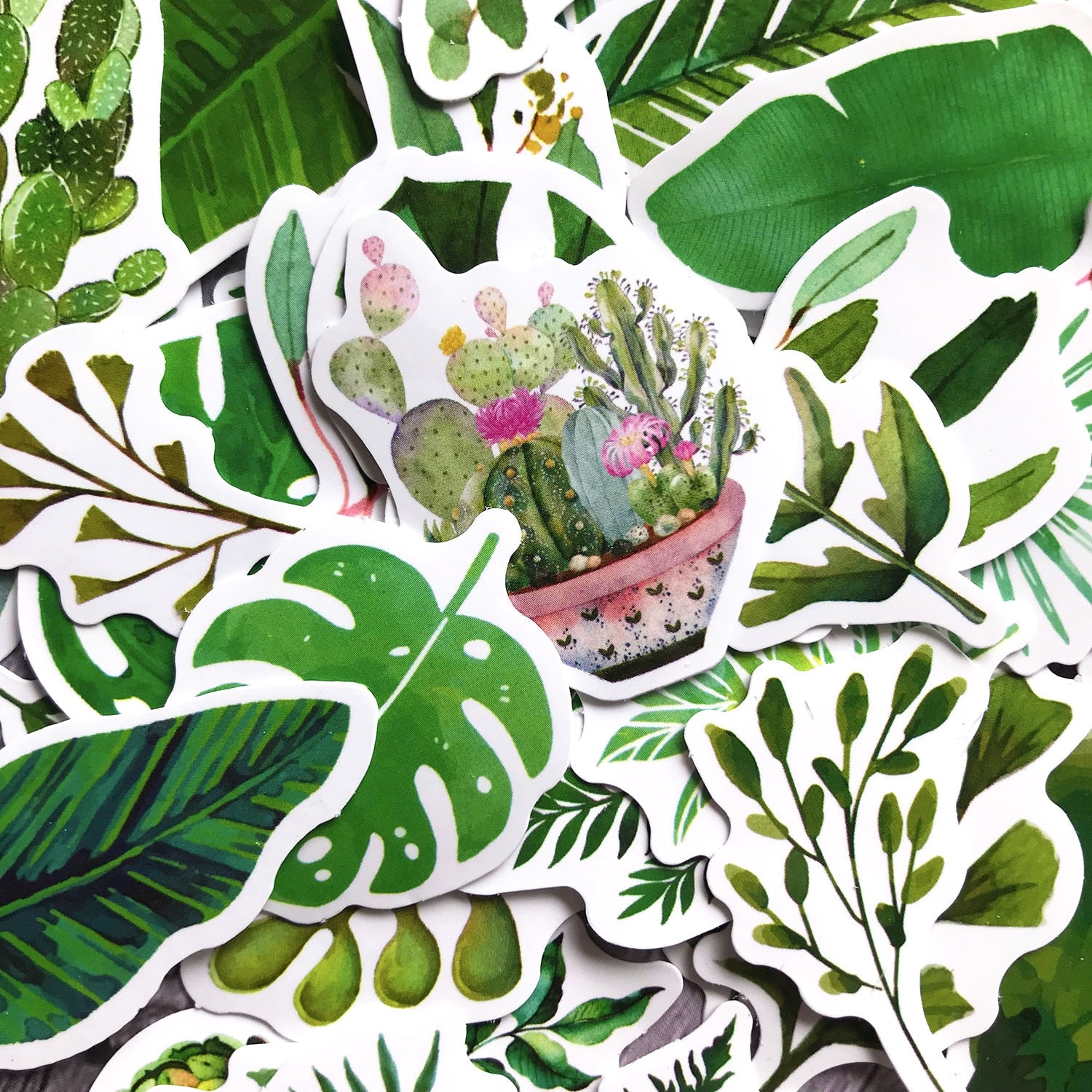 Plant Fern Leaf Stickers