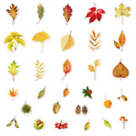 Autumn Fallen Leaves Stickers