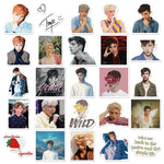 Troye Sivan Singer Stickers