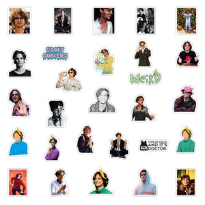 Fashion Model Star Matthew Gray Gubler Stickers