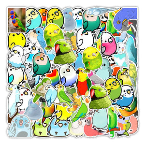 Parrot Bird Stickers