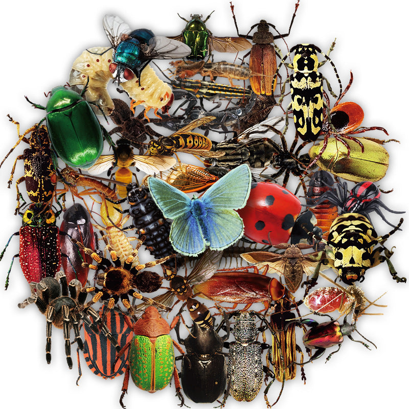 Nature Insect Funny Stickers