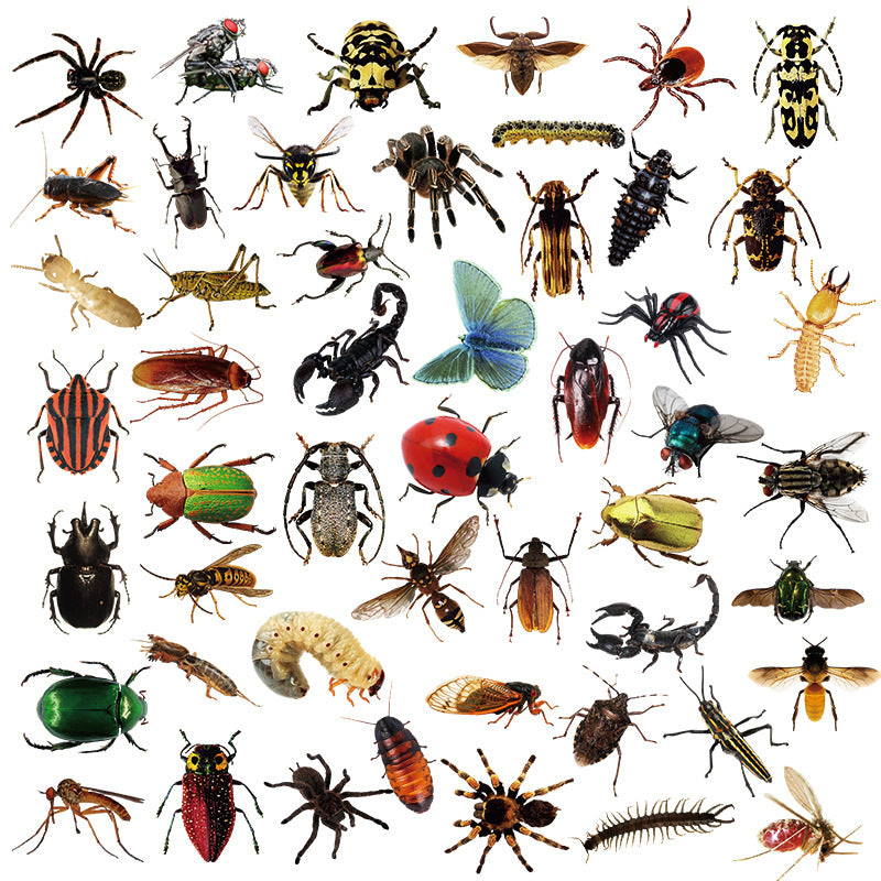 Nature Insect Funny Stickers