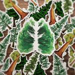 Natural Forest Pack Outdoor Travel Stickers