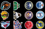 Ice Hockey Team Sports Competition Stickers