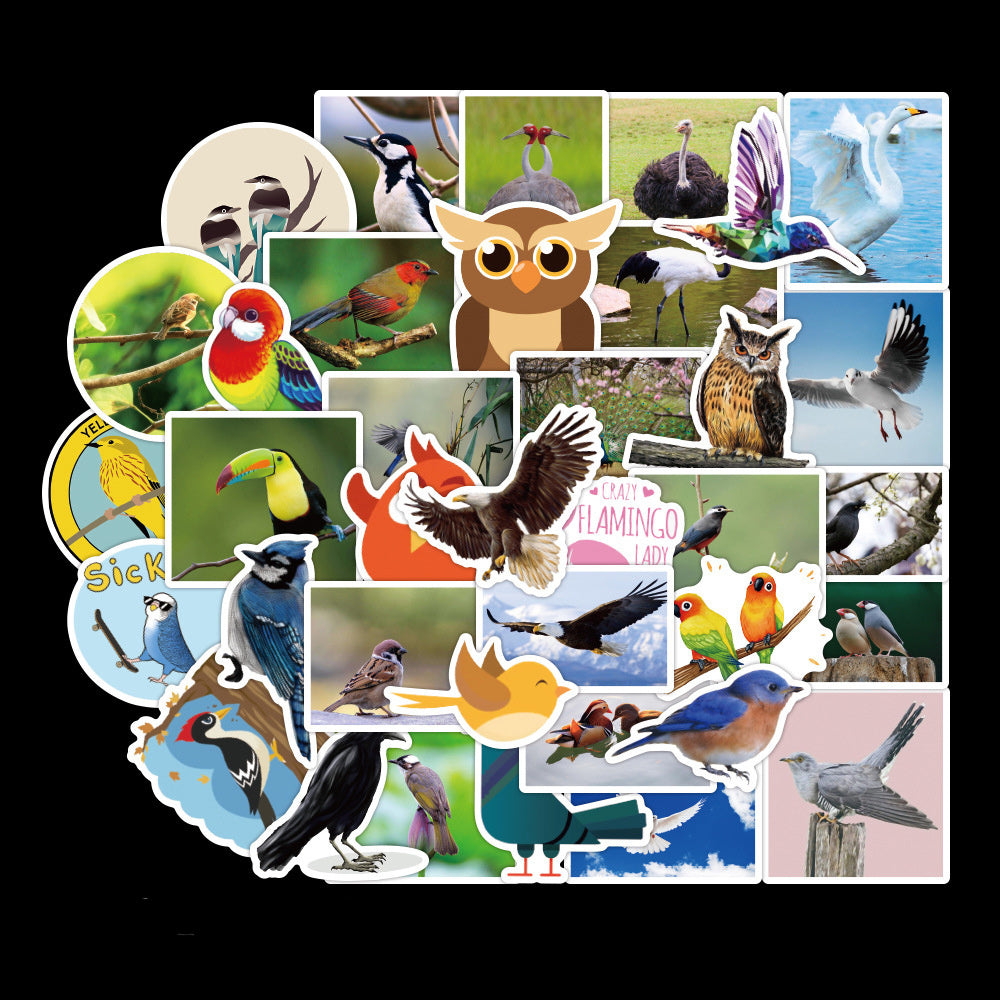 Cute Bird Stickers