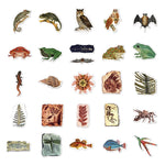 Ancient Creatures Fossil Stickers