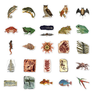 Ancient Creatures Fossil Stickers