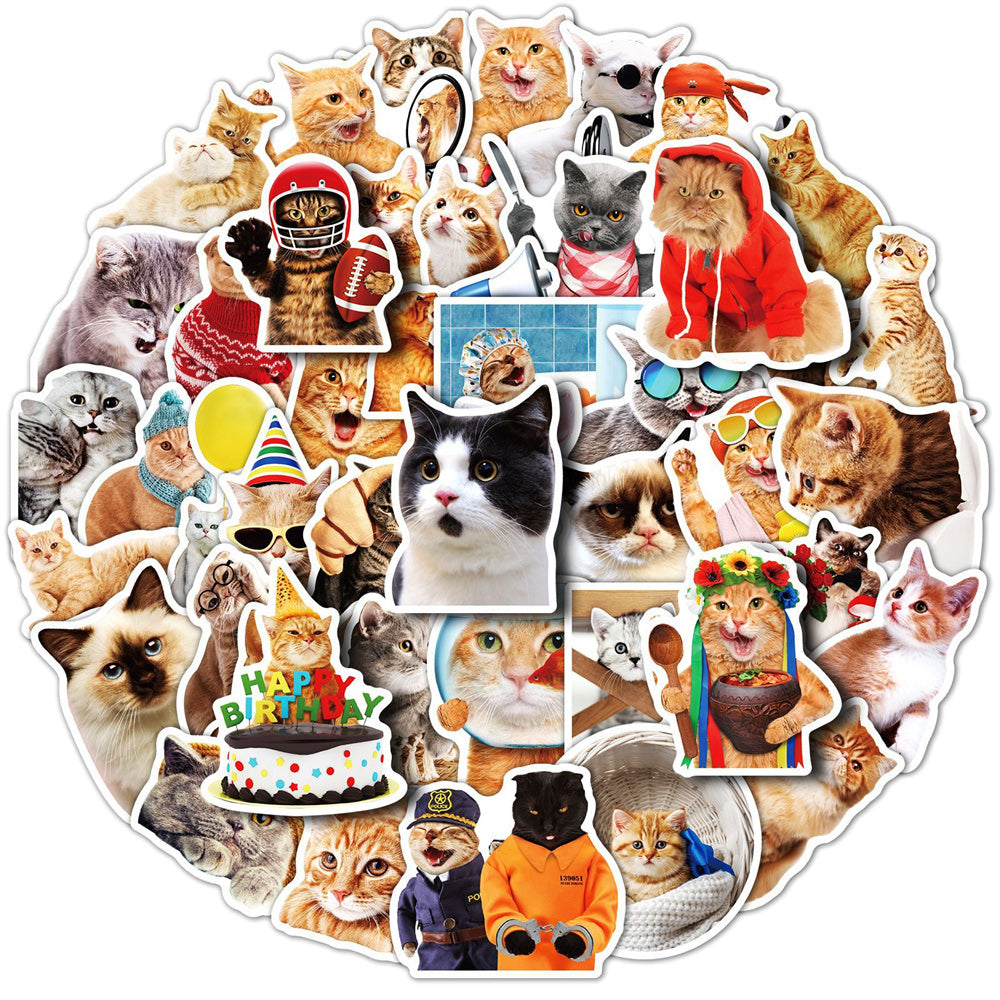 Realistic Cat Stickers