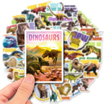 Dinosaur Tyrannosaurus Rex Stickers